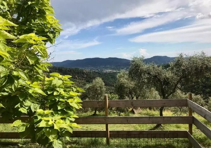 ペンション Affittacamere St Roch   Colazione, Bagno Annesso E Giardino   La Spezia