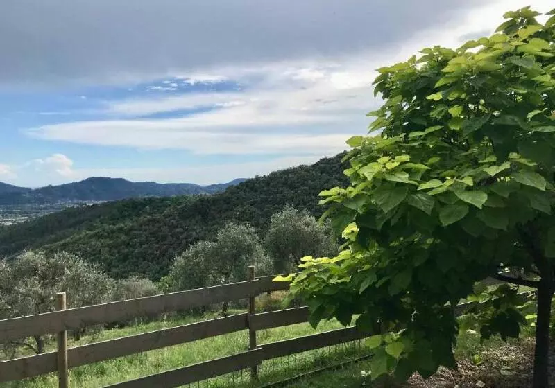 ペンション Affittacamere St Roch   Colazione, Bagno Annesso E Giardino   La Spezia