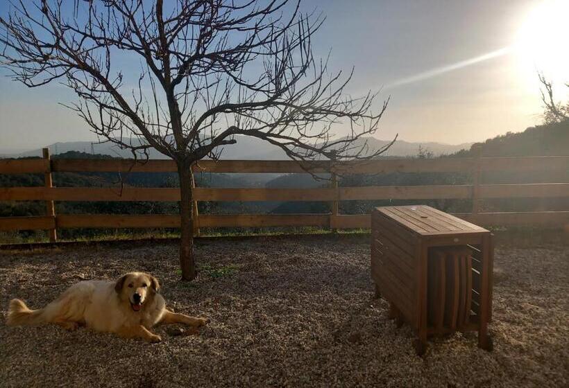 Пансион Affittacamere St Roch Colazione, Bagno Annesso E Giardino La Spezia