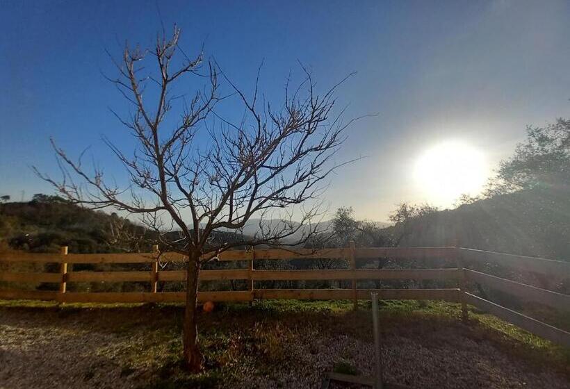 ペンション Affittacamere St Roch   Colazione, Bagno Annesso E Giardino   La Spezia