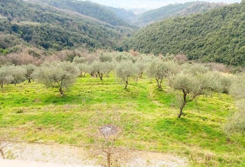 Pansiyon Affittacamere St Roch   Colazione, Bagno Annesso E Giardino   La Spezia