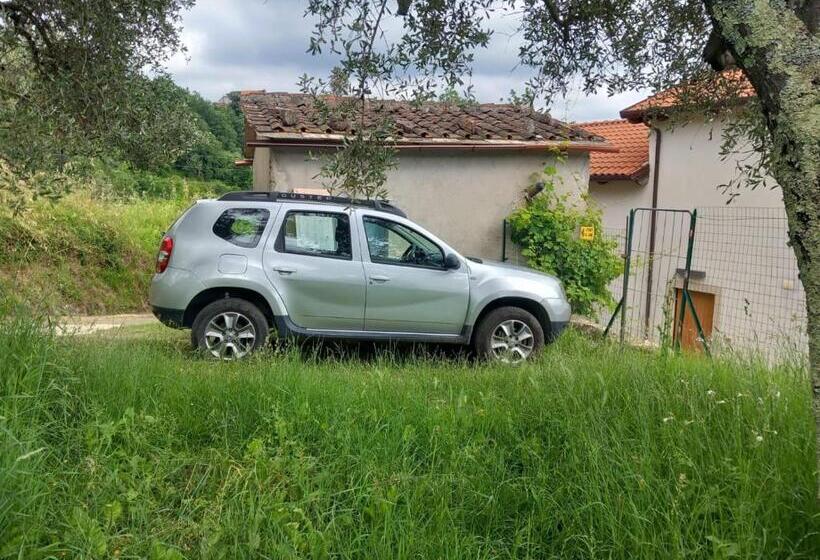 ペンション Affittacamere St Roch   Colazione, Bagno Annesso E Giardino   La Spezia