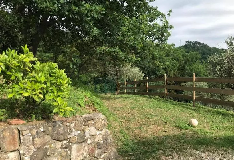 ペンション Affittacamere St Roch   Colazione, Bagno Annesso E Giardino   La Spezia