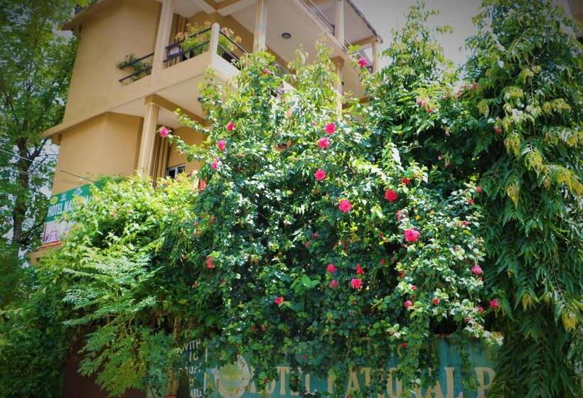 پانسیون Nikunj Safari Guest House Sauraha  A Place Where You Can Book Jungle Wildlife Safari