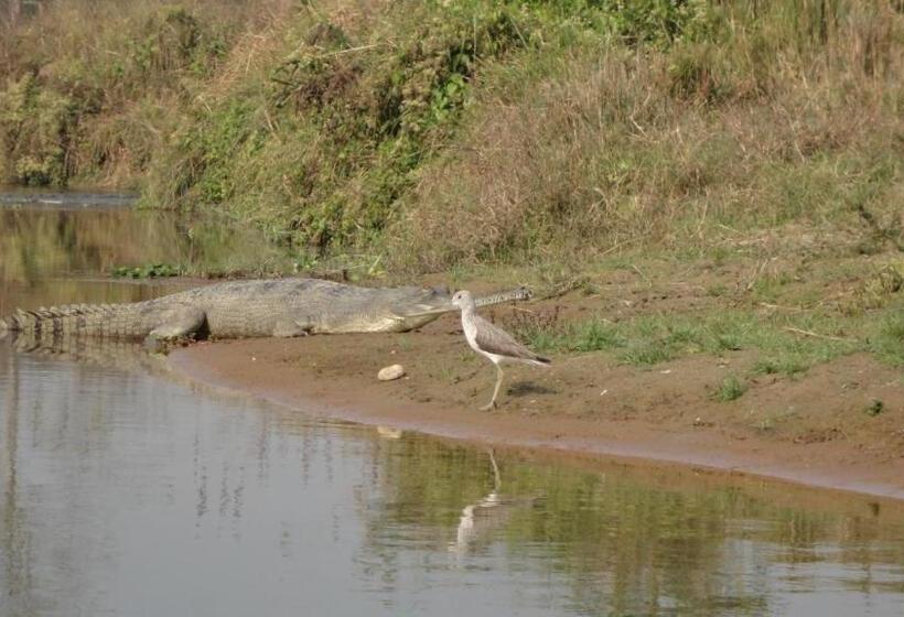 پانسیون Nikunj Safari Guest House Sauraha  A Place Where You Can Book Jungle Wildlife Safari