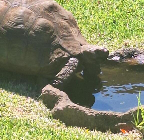 پانسیون Woodpecker Bachelor Cottage