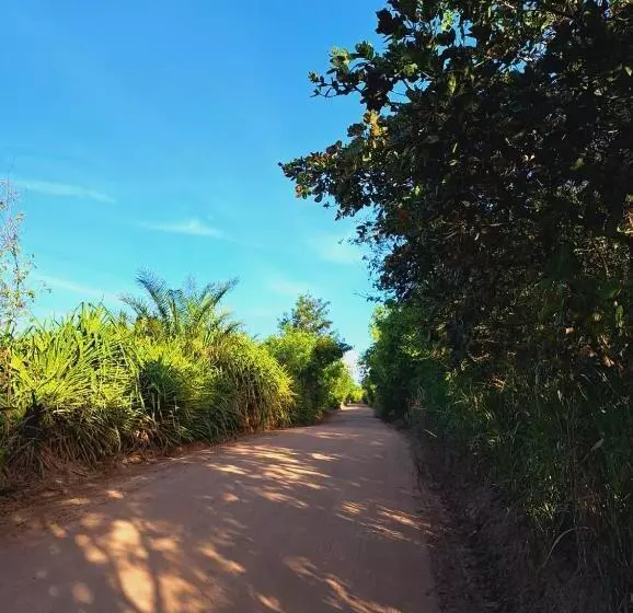 ユースホステル Itaúnas Pousada Nossa Palhoça