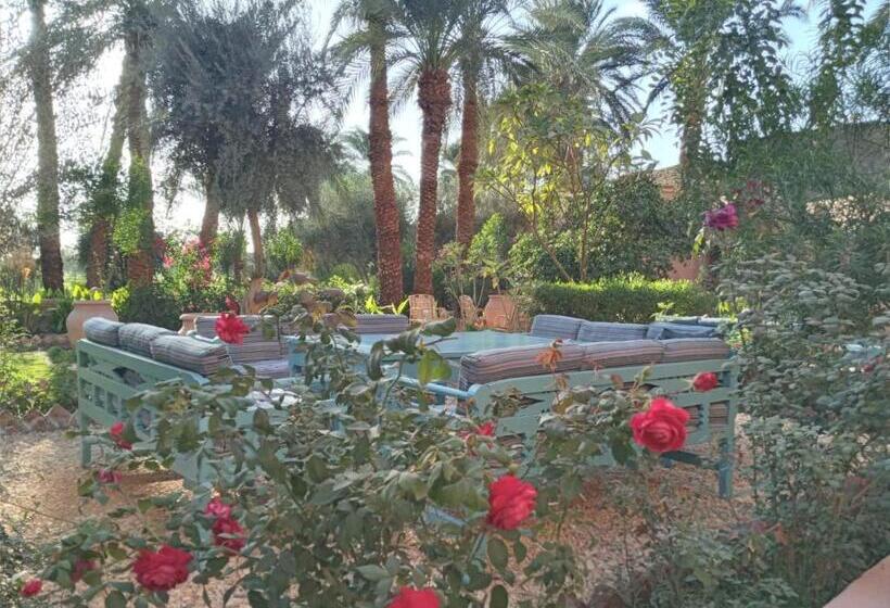 هتل Bab Al Samawy