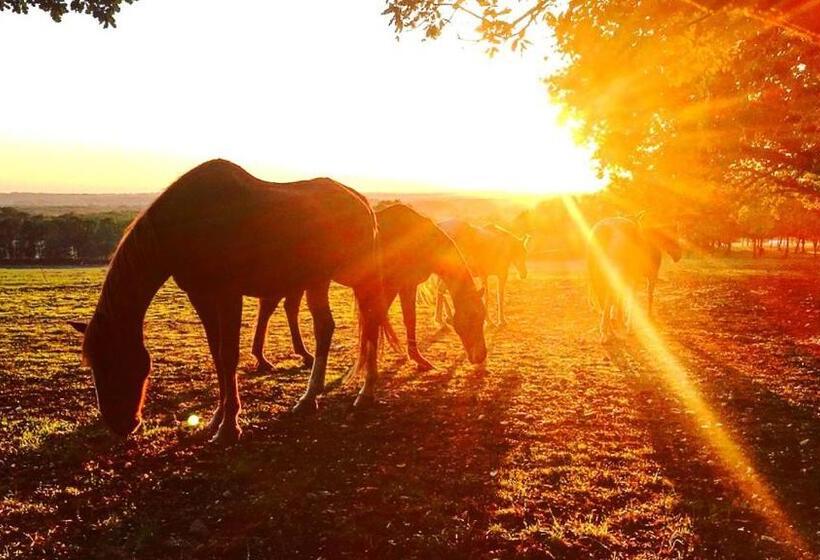 민박 Domaine Villoire