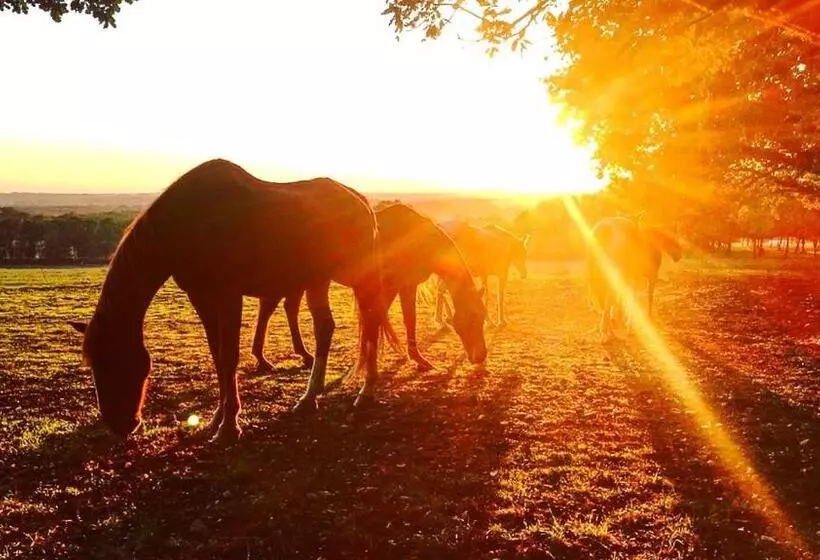 Aamiaismajoitus (B&B) Domaine Villoire