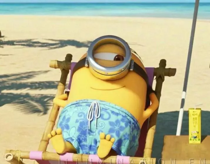 Hostel Los Minions