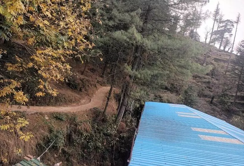 カプセルホテル Him Aaranya Home Stay Shimla