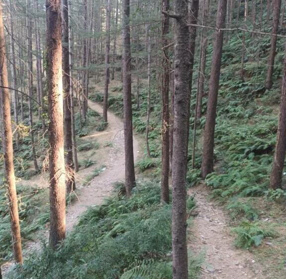 מלון כמוסות Him Aaranya Home Stay Shimla