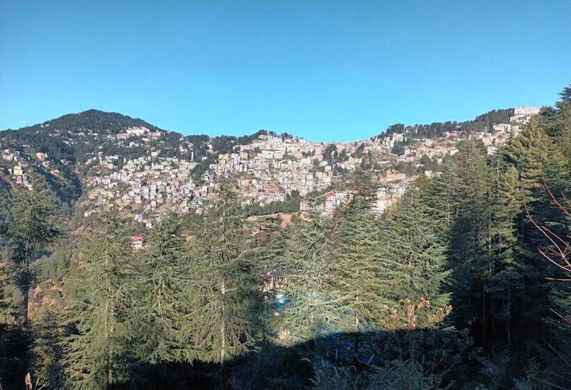 מלון כמוסות Him Aaranya Home Stay Shimla