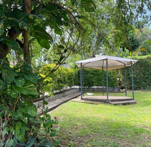 Пансион New W Guest House