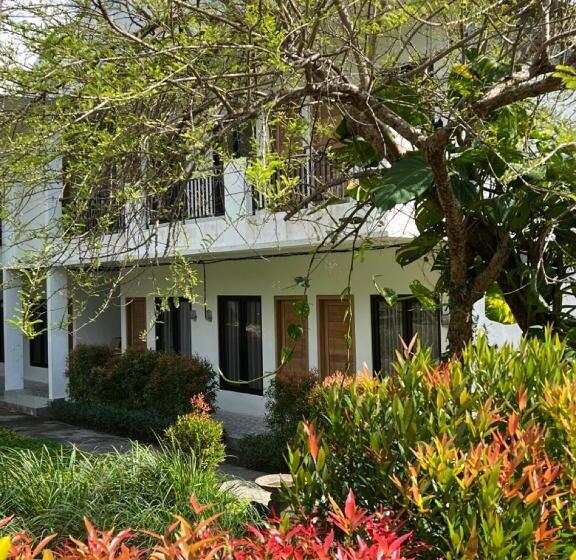 Пансион New W Guest House