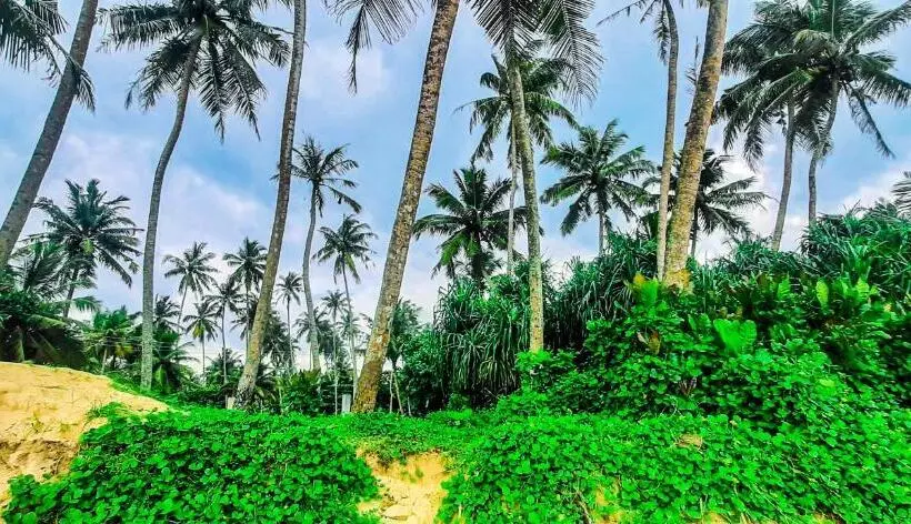 Majatalo Queen S Villa