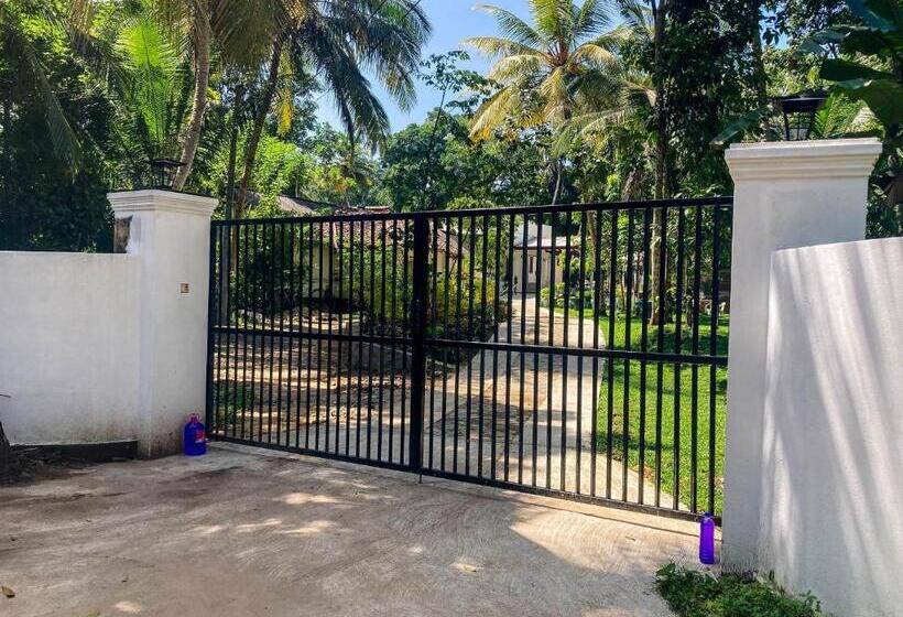 بنسيون Queen S Villa