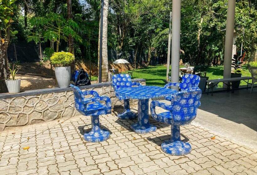 بنسيون Queen S Villa