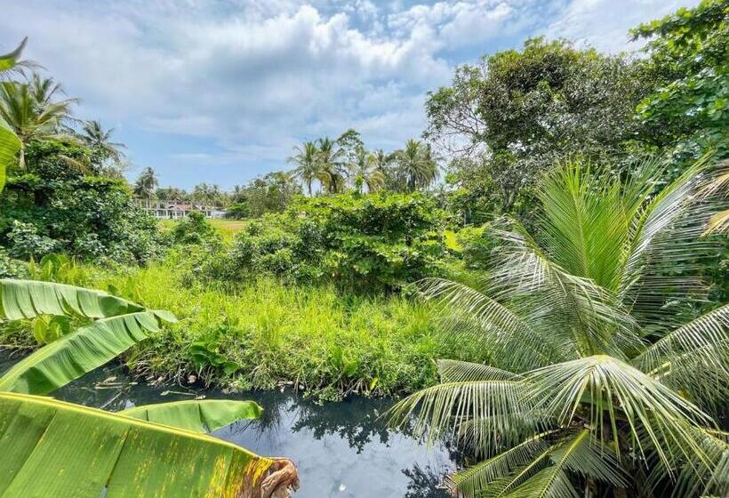 פנסיון The Beach Gate Villa