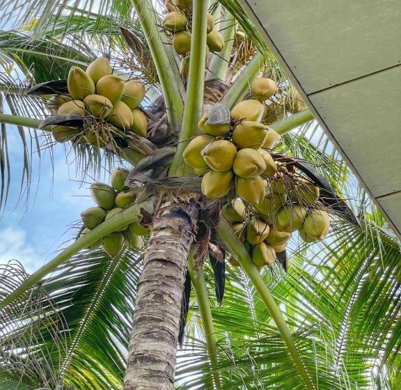 פנסיון The Beach Gate Villa