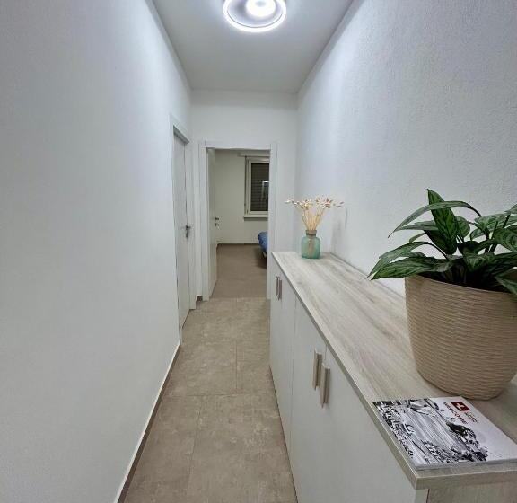 Pensão Veranda S Rooms Free Parking In Central Lugano