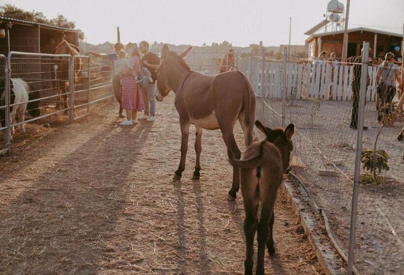 فندق Farm House Aradippou