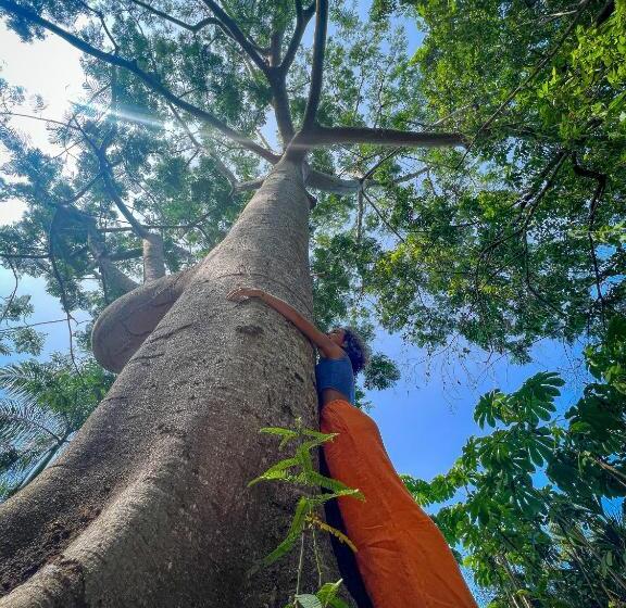 هتل Gavia   Rio Y Mar