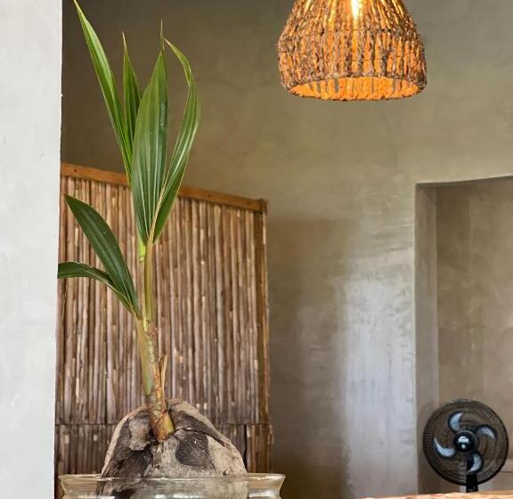 هتل Gavia   Rio Y Mar