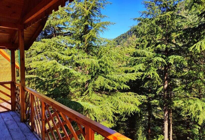 هتل Mid Conifer Resort And Cottages