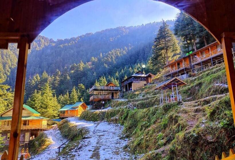 هتل Mid Conifer Resort And Cottages