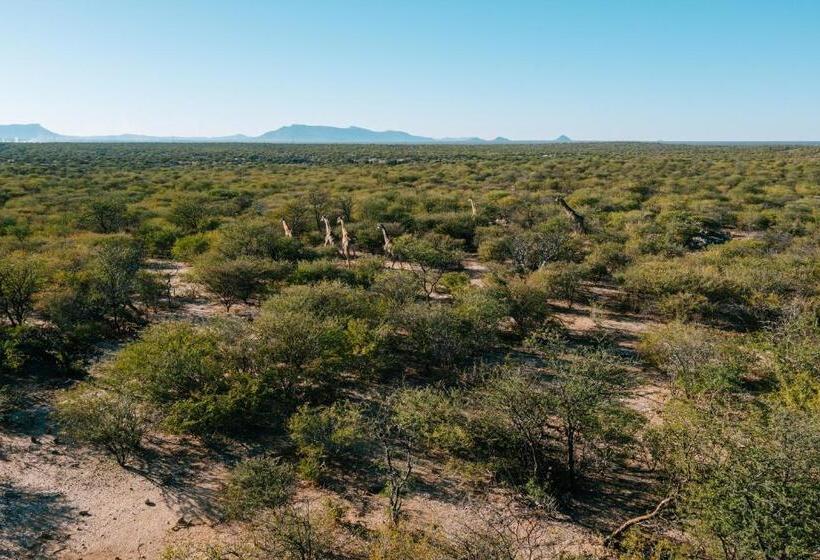 هتل Omaruru Game Lodge