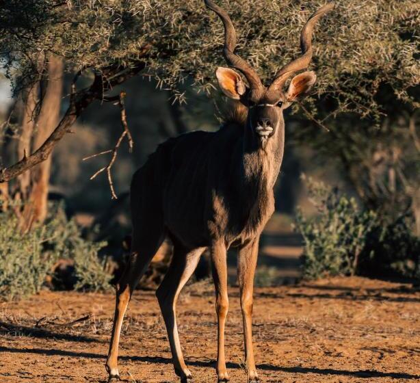 هتل Omaruru Game Lodge