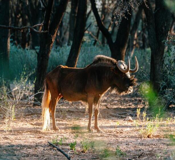 هتل Omaruru Game Lodge