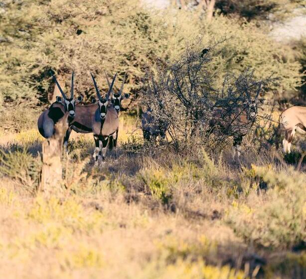 هتل Omaruru Game Lodge