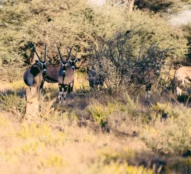 هتل Omaruru Game Lodge