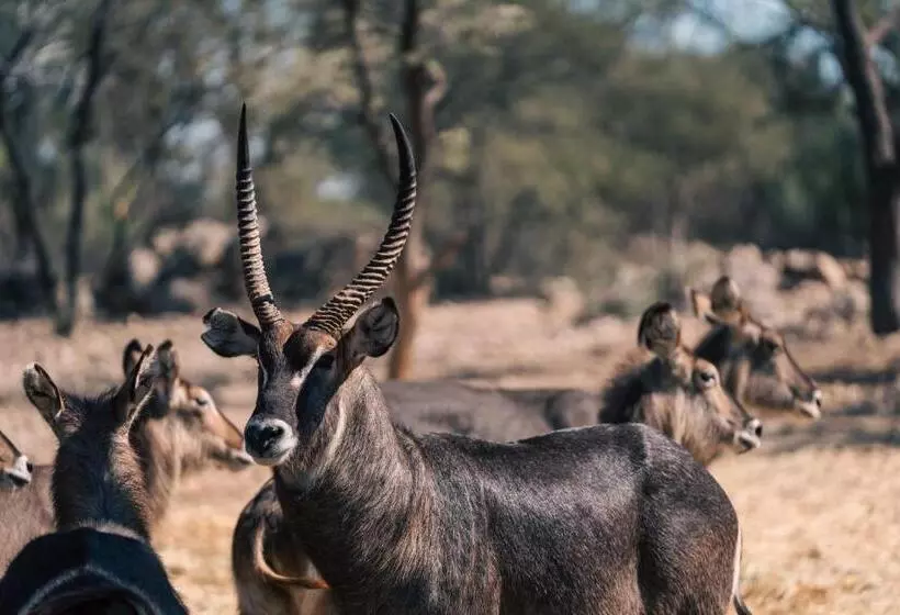 هتل Omaruru Game Lodge