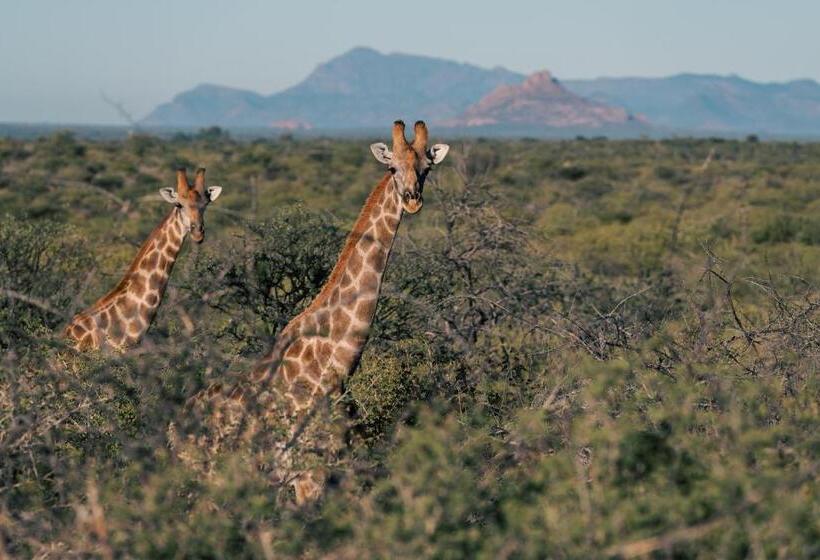 هتل Omaruru Game Lodge