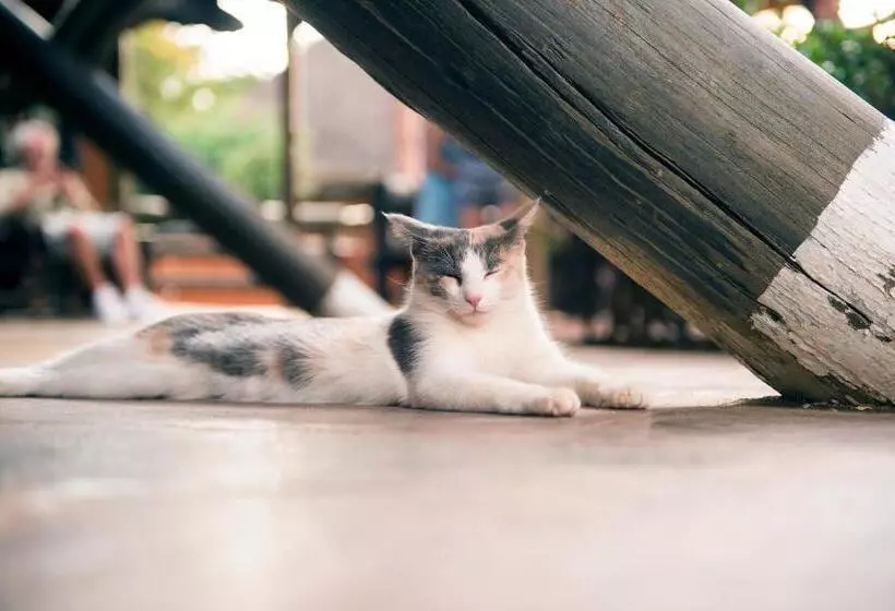 هتل Omaruru Game Lodge