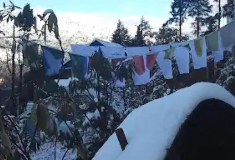 فندق The Orchid Homestay, Gangtok