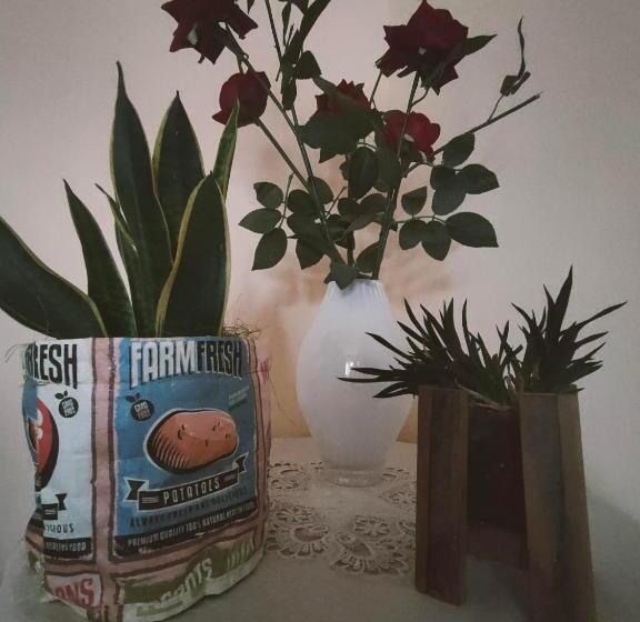 ペンション Ros S House