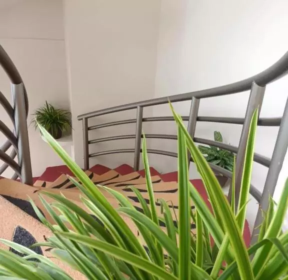 Marysol Las Palmas