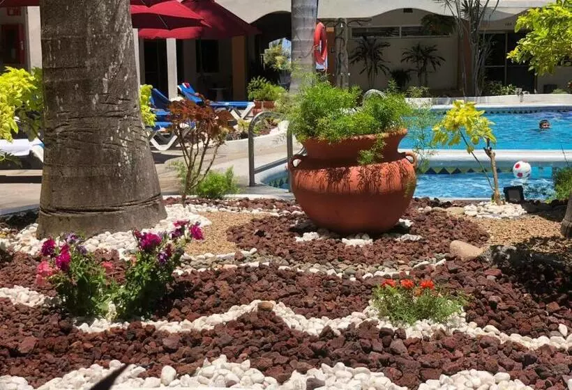 Marysol Las Palmas