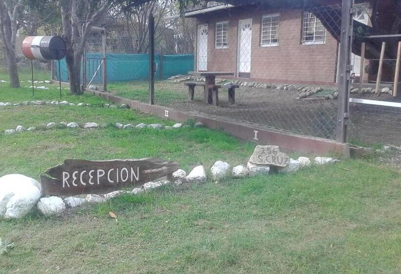 Общежитие Dormis Cka