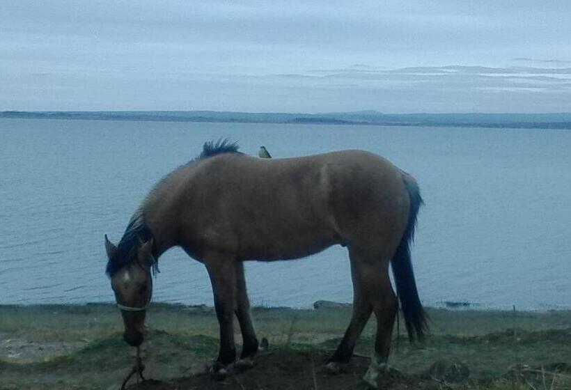 Общежитие Dormis Cka