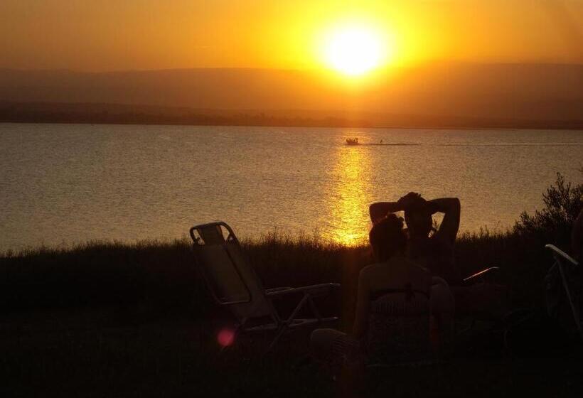 Общежитие Dormis Cka