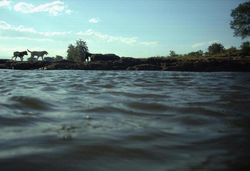 Общежитие Dormis Cka