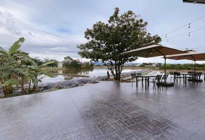 تختخواب و صبحانه House In Field