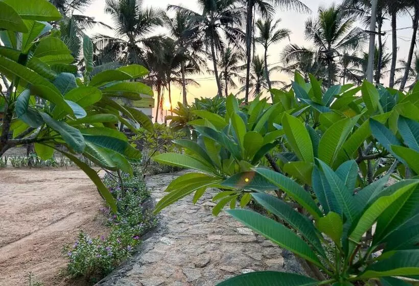 ベッドアンドブレックファースト Sunset And Palm Trees   An Airport Boutique By The Sea