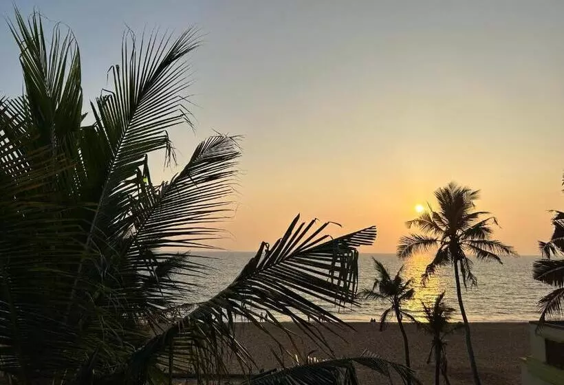 ベッドアンドブレックファースト Sunset And Palm Trees   An Airport Boutique By The Sea